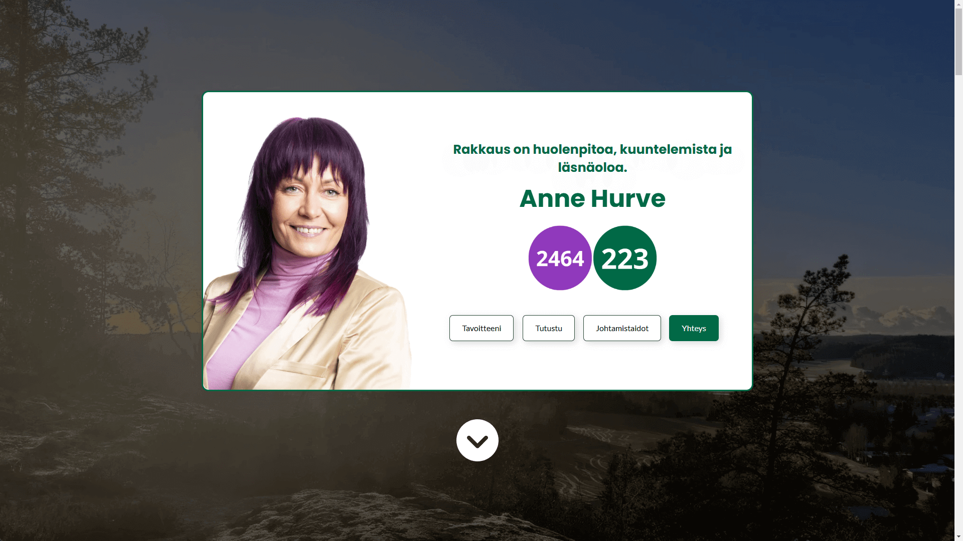 AnneHurve.fi verkkosivuston toteutus